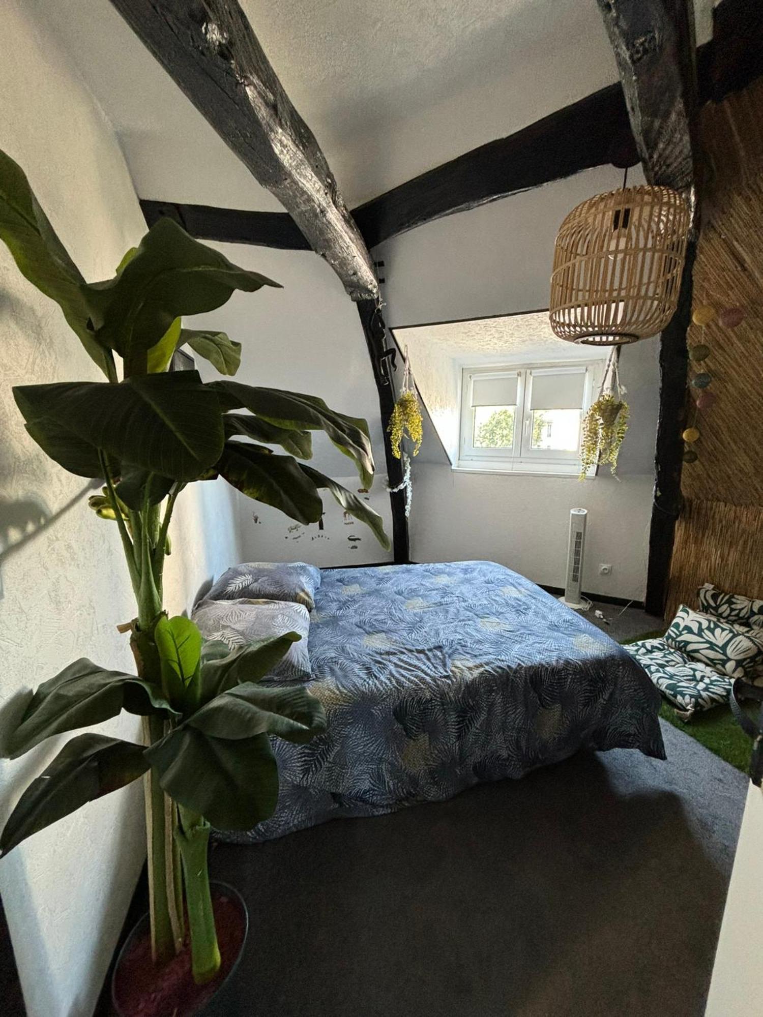 Апартаменты Jungle Cosy Лувье Экстерьер фото